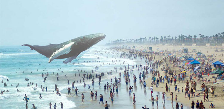 Magic Leap