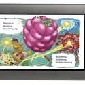 Un libro infantil en el NOOK color