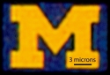 Logo de la Universidad de Michigan