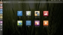 Ubuntu 10.10 Netbook remix